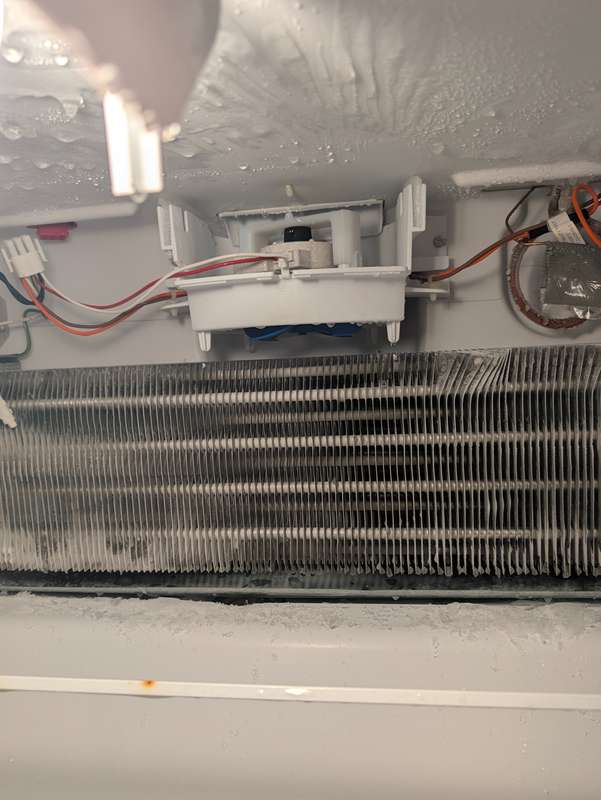 Same evaporator coil clear after defrost repair — Done Right Appliance Repair
