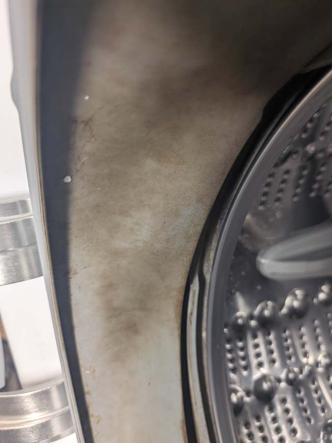 Mold under a front-load washer door gasket before replacement — DFW