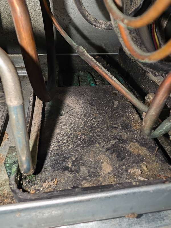 Dirty refrigerator drain pan and condenser area under the unit - DFW appliance repair